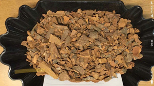 Canela en Dedos Premium AD Cruda de Vietnam, Seca y Cortada, 2 cm 3 cm, Alto Contenido de Aceite, Origen Yen Bai, Exportación a Granel, Sin OGM, IIGLOBAL - Product Image 3