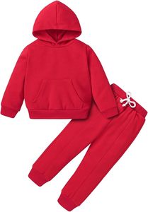 Conjunto de Sudadera y Pantalones Deportivos para Bebés y Niños Pequeños, Ropa Deportiva para Otoño e Invierno, Sudadera con Capucha Cálida y Pantalones a Juego - Product Image 6