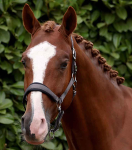 High Quality 2026 Horse Bridle Western PU Leather Horse Halter Plus Size Adjustable Anti <b>Slip</b> Snaffle Bridle OEM Service - Product Image 6
