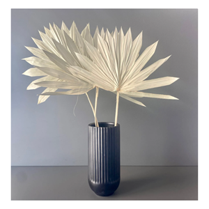 Proveedor de Hojas de Palma Ecológicas de Vietnam, Material Decorativo Natural para Floristería, Manualidades, Decoración del Hogar y Distribución al por Mayor - Product Image 3