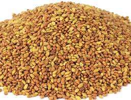 Graines d'alfalfa en gros pour la production de foin, le fourrage vert et les cultures de couverture - Meilleur prix - Vente en gros - Product Image 6