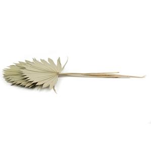 Decoración Navideña Ecológica de Material Vegetal Natural, Ramo Decorativo, Flores Decorativas, Hoja de Palma Seca - Product Image 4