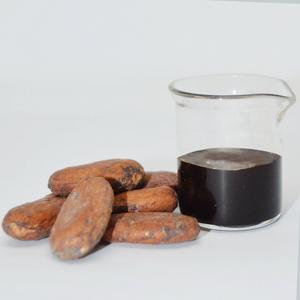 Extracto de Cacao (CC-0201) Aroma a Vainilla - Product Image 2