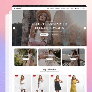 Servicios Expertos de Gestión de Tiendas de Moda: Escalando Negocios de Comercio Electrónico de Ropa Moderna para Máxima Rentabilidad - Product Image 2