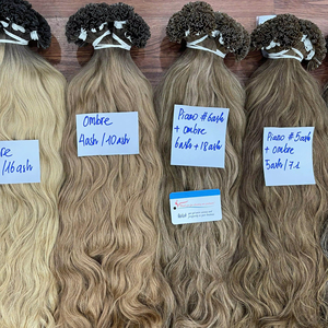 Extensions de cheveux humains vietnamiens bruts à pointe en U en kératine, cuticules alignées, double épaisseur, haute qualité - Product Image 1