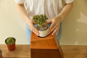 Modern Geometric Wooden Cremation Urn for Human Ashes Indoor Planter <b>Box</b> Luxury Walnut Wood <b>Memorial</b> Keepsake Urn - Product Image 2