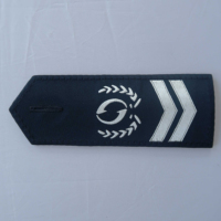 Épaulettes de grade brodées à la main en bullion pour homme, épaulettes tactiques personnalisées, épaulettes d'uniforme, insignes