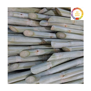 Canne à sucre congelée |   Bâtonnets de pommes de terre pelées IQF, goût sucré, haute teneur en Brix, pour jus, vente en gros, certifiés ISO - Product Image 2