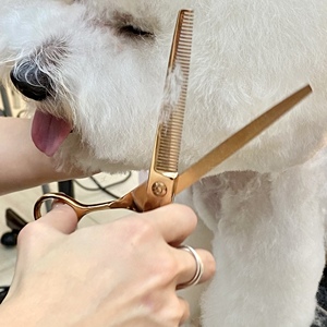 Ciseaux asiatiques pour animaux de compagnie - Product Image 1