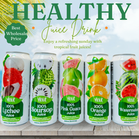 500ml de pulpe de jus de canneberge VINUT Vietnam Purée aromatisée naturelle du fabricant Meilleur prix de gros OEM/ODM Échantillon gratuit Conception