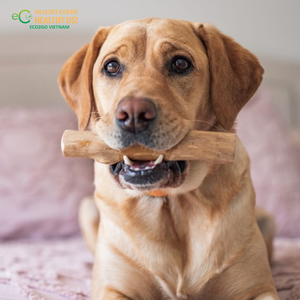 Eco2go Vietnam - Masticables para Perros de Madera de Café 100% Natural, Limpieza Diaria de Dientes, Antiaburrimiento, Interactivos, Duraderos, Seguros y No Tóxicos - Product Image 5