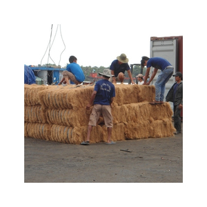 Paja de Arroz de Primera Calidad, Material Agrícola Seco para Compostaje, Cama para Animales, Manualidades, Embalaje y Exportación - Product Image 6
