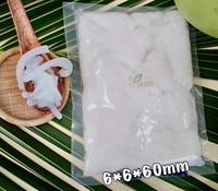 Natuurlijk gefermenteerd rauw Nata De Coco materiaal DK BIO Kosher Halal ISO 22000 HACCP gecertificeerd instant kokosgel dessert functioneel