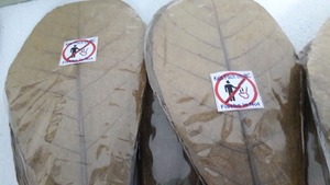 Produits pour animaux de compagnie en amandes indiennes de qualité supérieure en gros, 500 feuilles de taille 10 à 15 cm pour le nettoyage des poissons - Product Image 2