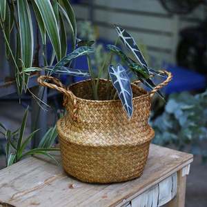 <b>Baskets</b> for Plants Handmade Woven Natural Seagrass Planter <b>Basket</b> for Home Decor Wholesale Supplier from Vietnam - Product Image 5