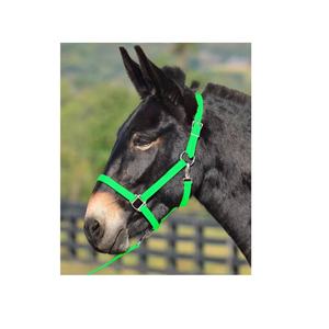 Bridon pour cheval en cuir et PVC enduit, conçu de manière intelligente, réglable, durable, imperméable, couleur bleu clair bio, personnalisable, pour usage équestre - Product Image 4