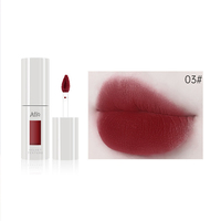 Rouge à lèvres mat et résistant à l'eau, produit cosmétique personnalisé, brillant à lèvres, couleur chair, longue durée, marque privée, teinte en velours, glaçure à lèvres, 2023