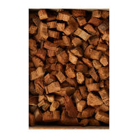 Copeaux de coco naturels de qualité supérieure, triplément lavés, 5-15 mm, biodégradables, substrat de plantation pour hydroponie, serre et jardin