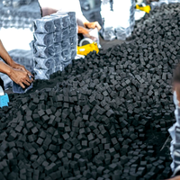 A Taste of Paradise Briquettes de charbon de coco de qualité supérieure pour des moments de chicha inoubliables et de riches arômes de narguilé