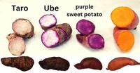 OEM Poudre d’Ube Pure Naturelle, Lyophilisée / Séchée par Pulvérisation en Vrac, pour Boissons, Desserts et Boulangerie