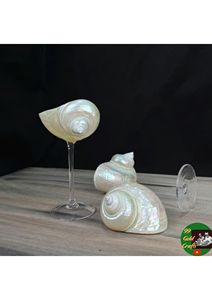 Verre artisanal haut de gamme en coquillage naturel pour cocktails, boissons et décoration intérieure - Product Image 3