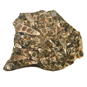 Agate Tarantella Naturelle de Haute Qualité, Pierre Brute, Minéraux Bruts pour la Guérison Naturelle, Cristal Brut, Grossiste en Pierres Précieuses - Product Image 1