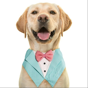 Collier-bavoir en dentelle avec nœud mignon pour chat, bandana pour petits chiens, foulard pour chaton, bandana pour chien style princesse, accessoires pour chat - Product Image 1