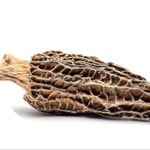 เห็ดมอเรลป่าอบแห้งและเห็ดมอเรลเบอร์รี่ ผลิตภัณฑ์ยอดนิยม ต้นกำเนิดจากเวียดนาม อายุการเก็บรักษา 18 เดือน น้ำหนัก 1 กิโลกรัม ราคาถูก - Product Image 1