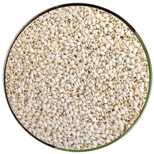 Graines de sésame décortiquées de qualité export, blanches, 99,9 % de pureté, 1 à 2 % d'humidité, emballées sous vide pour l'industrie de la confiserie et de l'alimentation - Product Image 1
