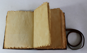 Charme rustique avec des cordons en cuir décoratifs cousus sur le dos, ajoutant une touche d'antiquité magique à ce magnifique journal vintage. - Product Image 3