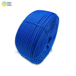 Cuerda de Plástico PE de Alta Calidad, 8mm x 200m, Rollo de Polietileno Trenzado para Embalaje de Carga, Agricultura y Uso General, para Exportación - Product Image 2