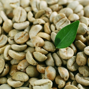 Granos de Café Robusta de Vietnam, Crudos, Verdes, a Granel, Calidad de Exportación, Proveedor Mundial - Product Image 1