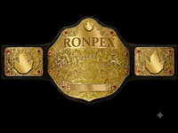 Ceintures de championnat personnalisées en cuir et laiton de qualité supérieure Ronpex International pour la boxe, le taekwondo et la lutte