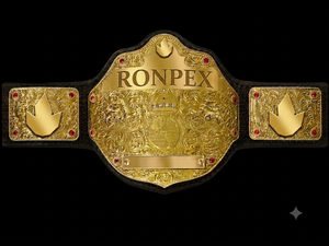 เข็มขัดแชมป์ระดับพรีเมียมคุณภาพสูง Ronpex International ผลิตตามสั่ง ทำจากทองเหลืองและหนังอย่างดี สำหรับมวย เทควันโด มวยปล้ำ - Product Image 6