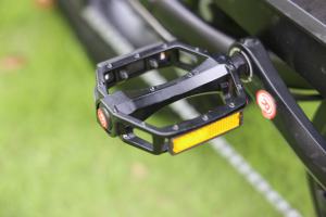 Vélo électrique Ecoride V8 750 W, pneus larges 15 Ah, livraison gratuite, double selle, tout-terrain - Product Image 2