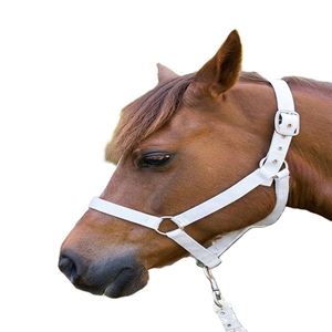 Harnais de cheval en sangle de nylon, harnais de course pour chevaux, confort élevé, qualité supérieure, double réglage en nylon - Product Image 5