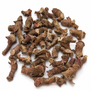 Dried Alpinia Galanga Root Slices Premium Galangal Root Natural Dried Galangal Root Pieces - Product Image 5