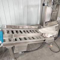 Máquina de Llenado y Empaquetado de Bolsas Semiautomática de Alta Precisión de 10 kg, 25 kg y 50 kg para Alimentos en Polvo a Granel