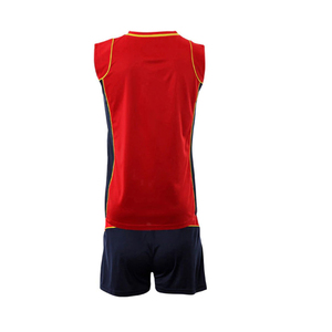 Uniformes de Voleibol Directo de Fábrica, Conjuntos con Logotipo Personalizado, Producción al por Mayor, Camisetas Personalizadas para Clubes Deportivos y Distribuidores - Product Image 4