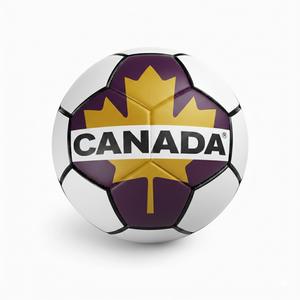 Ballon de football professionnel en cuir PU, taille 5, cousu à la machine, durable, résistant à l'eau, léger, pour entraînement en extérieur - Product Image 2