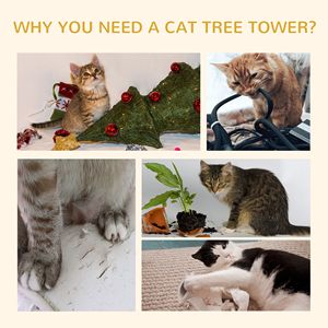 Árbol para Gatos Natural, Centro de Actividades, Torre de Escalada para Gatos de Piso a Techo con Postes de Sisal para Rascar, para Gatitos - Product Image 6