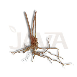 Decoración Ecológica de Madera de Araña Dorada para Acuarios, Terrarios y Vivarios, para Peces, Caracoles y Tortugas, 40 cm - Product Image 1