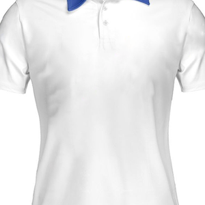 Camiseta Polo Personalizable ZPB, 100% Algodón, 300 GSM, Letra Bordada en Chenilla, para Hermandades y Fraternidades, Corte Unisex Premium Griego - Product Image 3