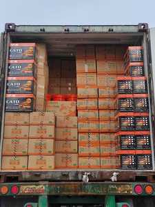 น้ำมันเครื่องยนต์รถยนต์ NPOIL CATO 100 TURBO 5W40 4ลิตร 5ลิตร 6ลิตร น้ำมันเครื่องสังเคราะห์คุณภาพสูงจากเวียดนาม - Product Image 4