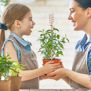 Varillas de Cobre Natural de Alta Calidad para Cultivo Electrolítico, Potenciador de Energía del Suelo para Plantas, Herramientas Orgánicas para Jardinería y Agricultura - Product Image 2