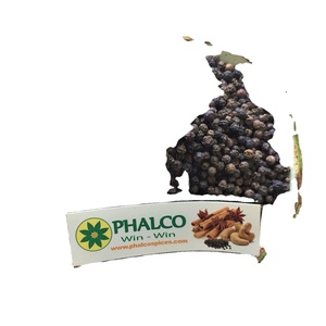 Pimienta Negra de Vietnam, 500GL 550GL FAQ, Pimienta Entera Seca, Exportación a Granel, Venta al Por Mayor, Alto Contenido de Piperina, Producto Más Vendido - Product Image 3
