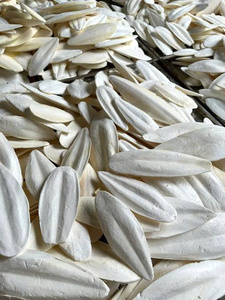 Os de seiche de qualité supérieure, produit naturel pour renforcer le bec des oiseaux, nutrition en calcium pour animaux de compagnie et soins des reptiles, fournisseur en gros - Product Image 2