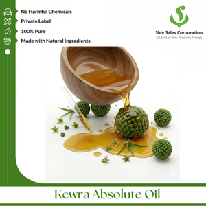 Aceite Absoluto de Kewra Premium para Mezclas de Perfumes, Creaciones Aromáticas, Industria del Incienso y Desarrollo de Productos de Fragancia - Product Image 4