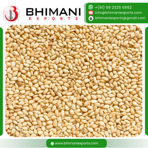 Semillas de Sésamo Blanco Frescas Naturales de la India de Primera Calidad, 99.99% de Pureza, Limpiadas a Máquina, 23 mm, Humedad 5%, Bolsas de 25 kg, Certificación HACCP - Product Image 3