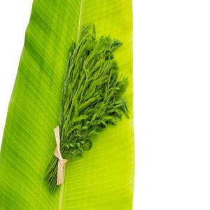Suplementos de Espirulina en Polvo de Grado Farmacéutico al 60%, Certificados por GMP, Fittree International, Cultivo Artificial, Alto Contenido Proteico - Product Image 1
